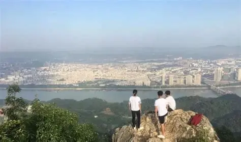 杨仙岭