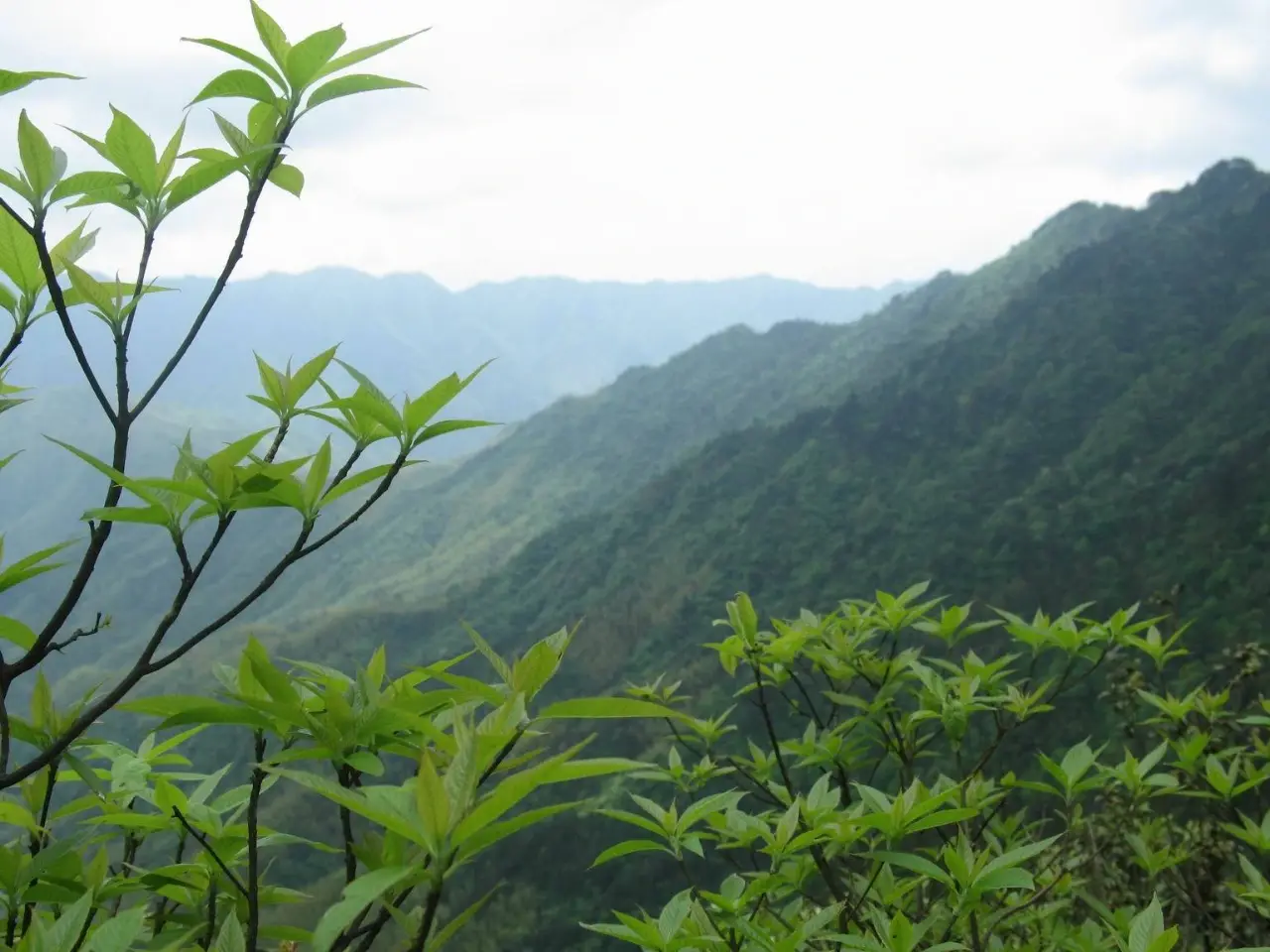 阳明山国家森林公园