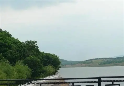 杨木水库