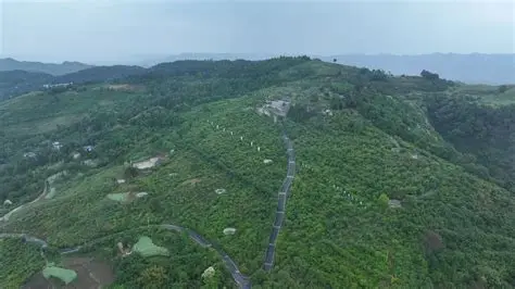乌梅山风景名胜区