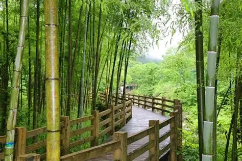 五峰山国家森林公园