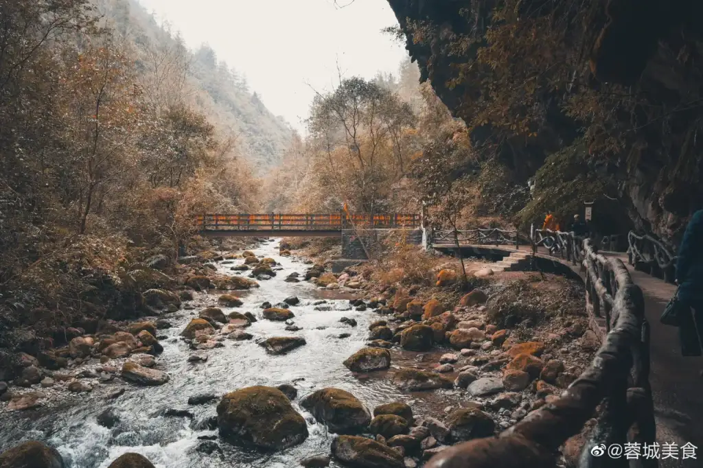 巴山大峡谷