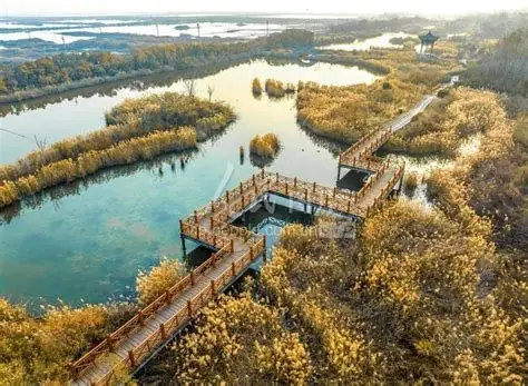 山西古城国家湿地公园
