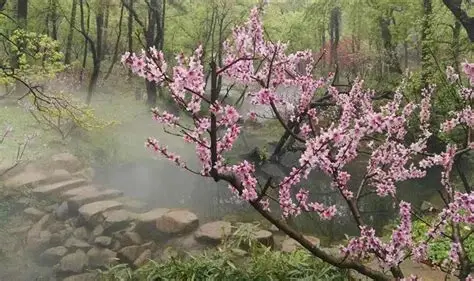 桃花涧