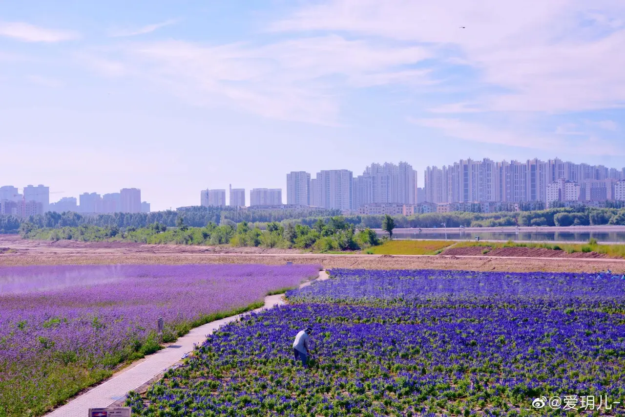 通辽市科尔沁区辽河公园