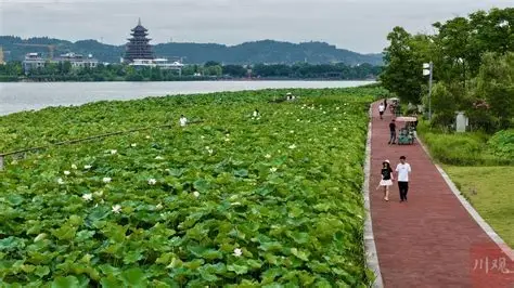 遂宁