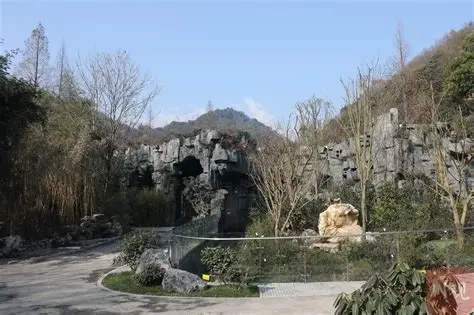 熊猫谷