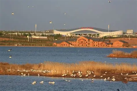 东红海子湿地公园