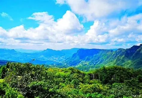 山王坪喀斯特森林公园