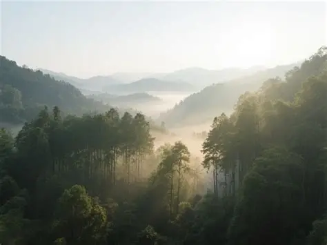 歌乐山国家森林公园