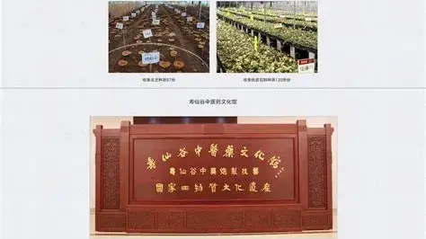 寿仙谷