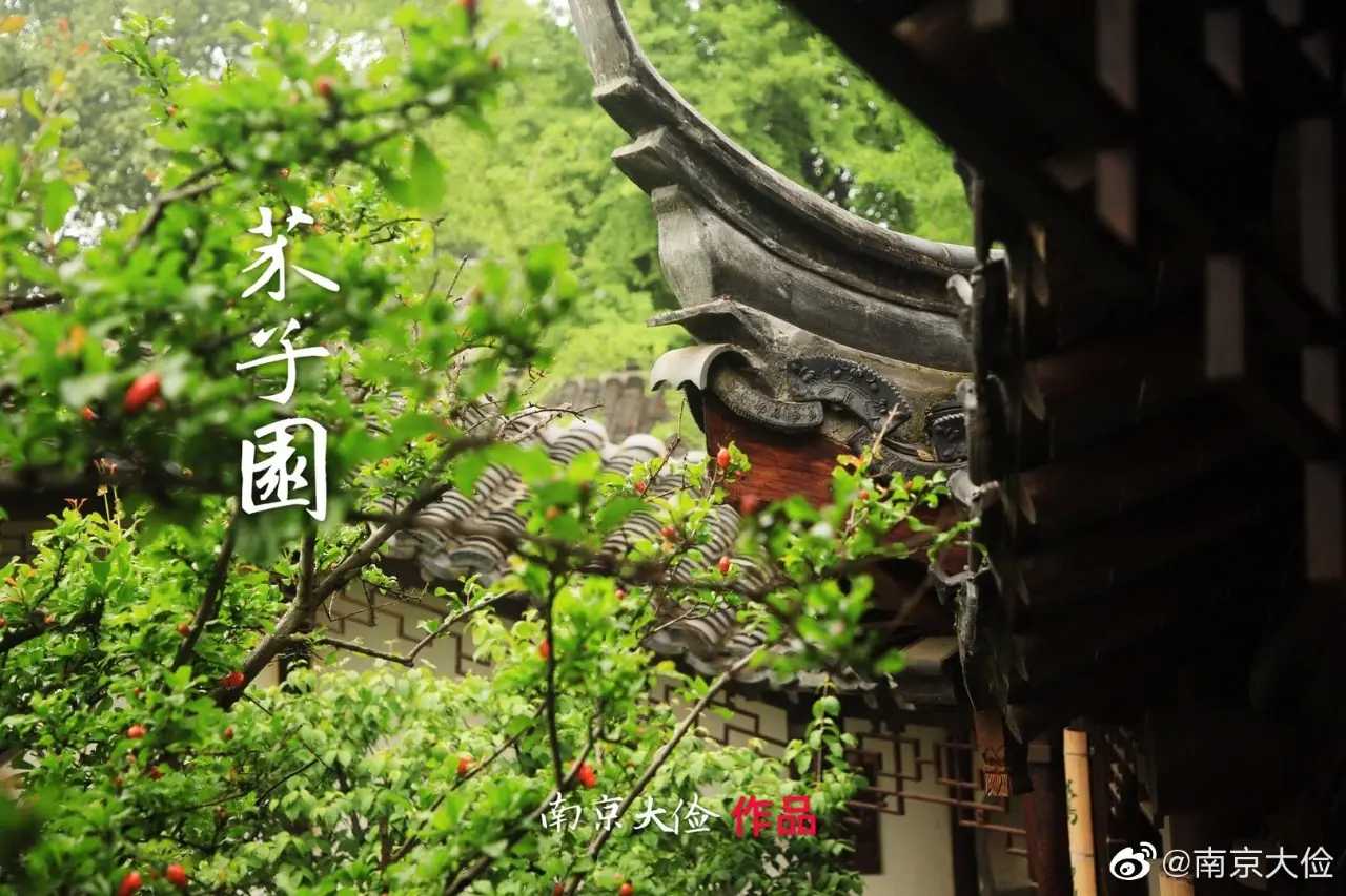 芥子园