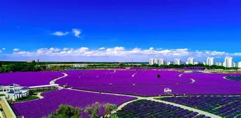 金昌植物园