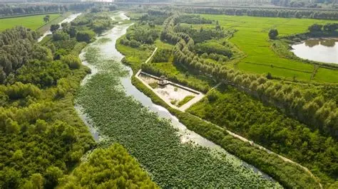 莲花湖湿地公园