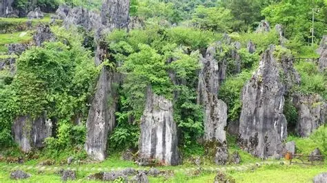 思南石林