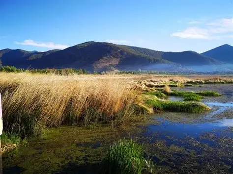黔东草海风景区
