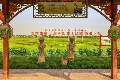 宁夏稻渔空间乡村生态观光园