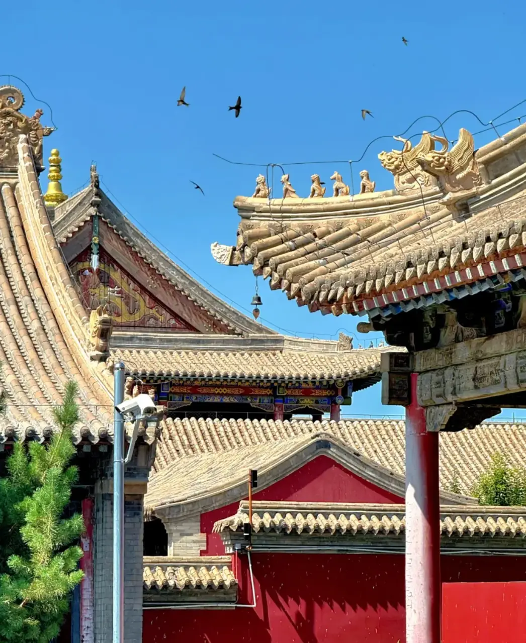 贝子庙