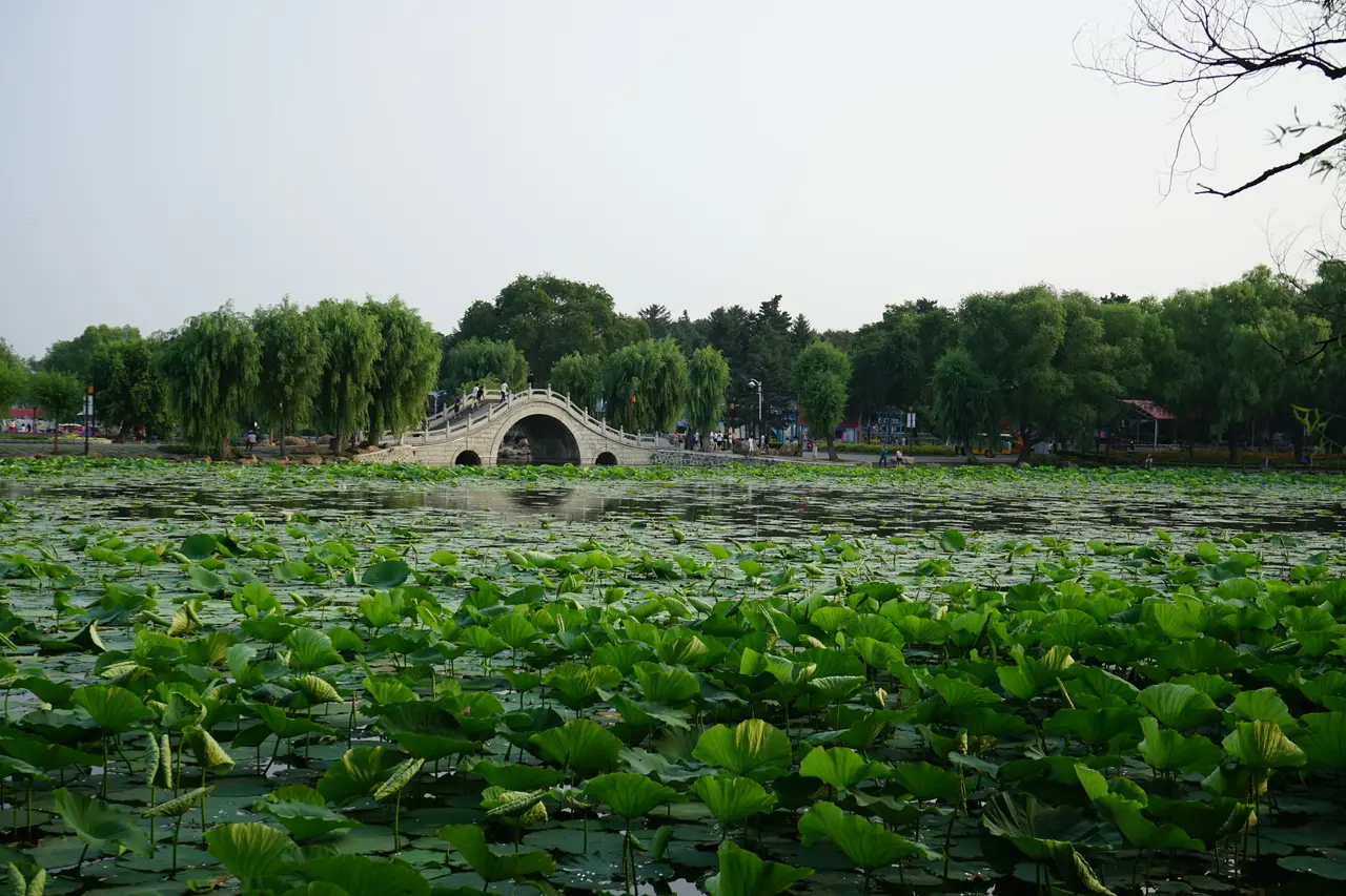 南湖公园
