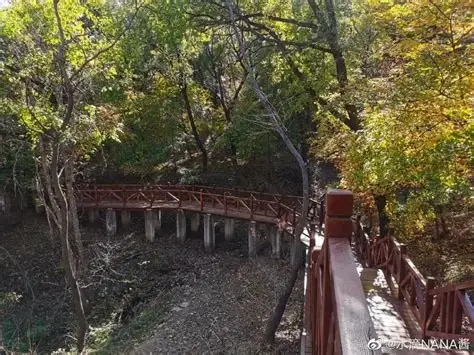 莲秀峰森林公园