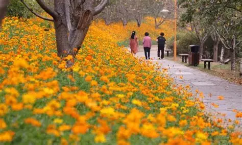 湖南省植物园