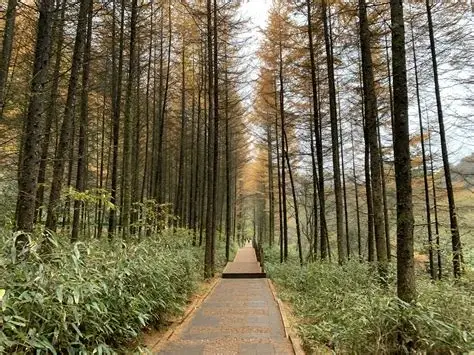 长沙北山森林公园