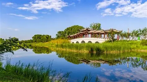 精卫湖国家湿地公园
