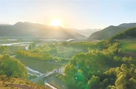 东川镇