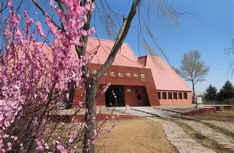 阜新市博物馆