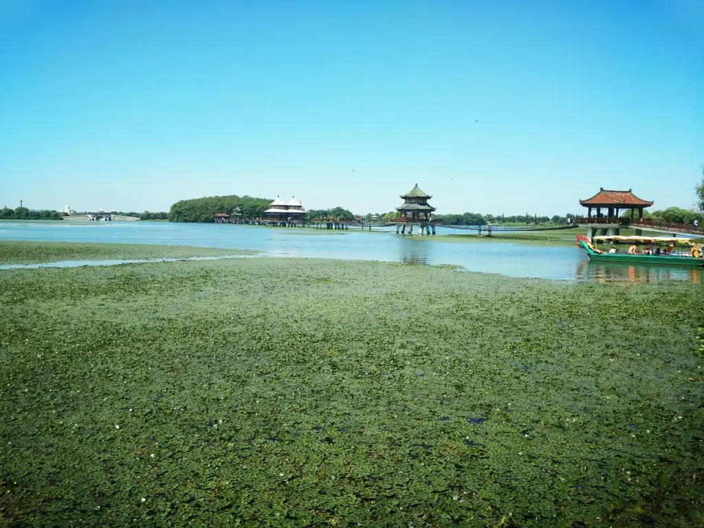 五里湖生态湿地公园
