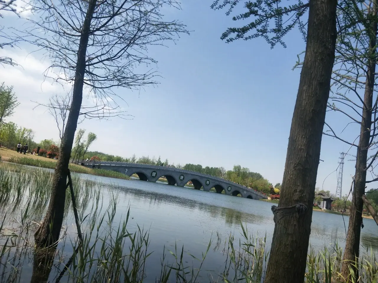 界首市颍南植物园