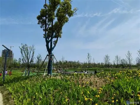 阜阳植物园
