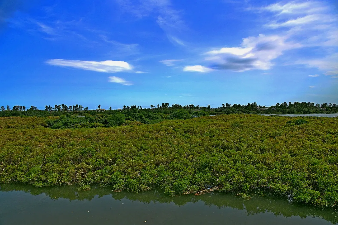 北仑河口景区