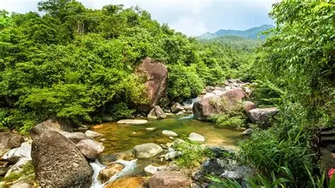 屏峰雨林公园