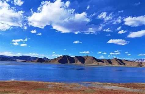 阿里