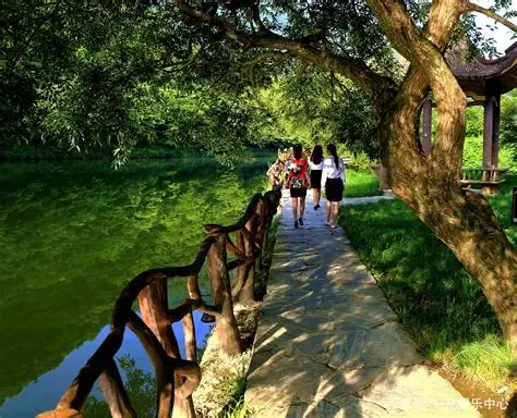 阳坝亚热带生态旅游风景区