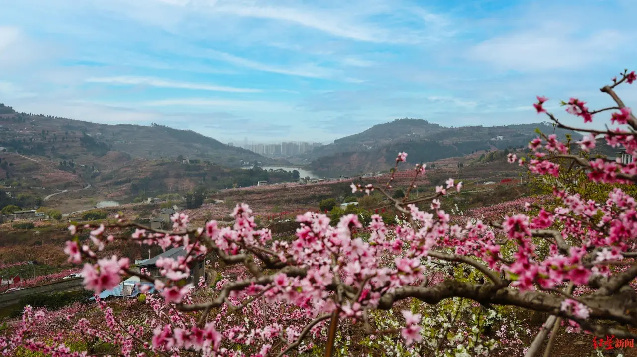 尚市桃花园景区