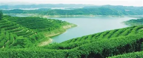 琵琶湖风景区