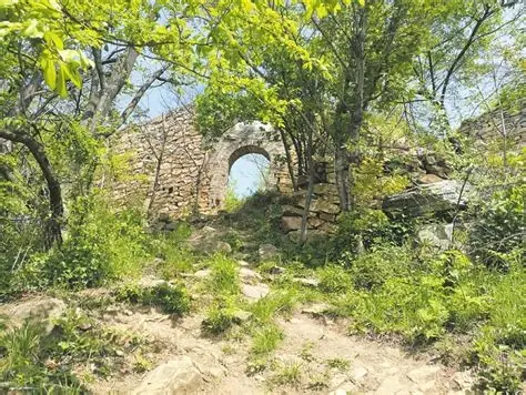 田王寨