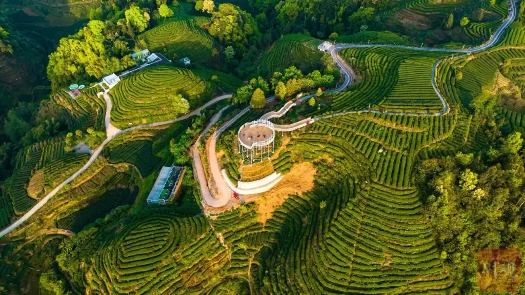 大地指纹