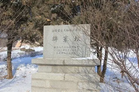将军坟