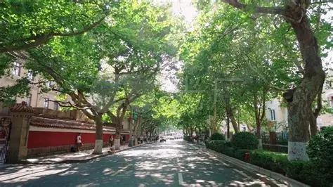 大学路