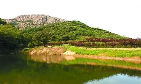 大泽山