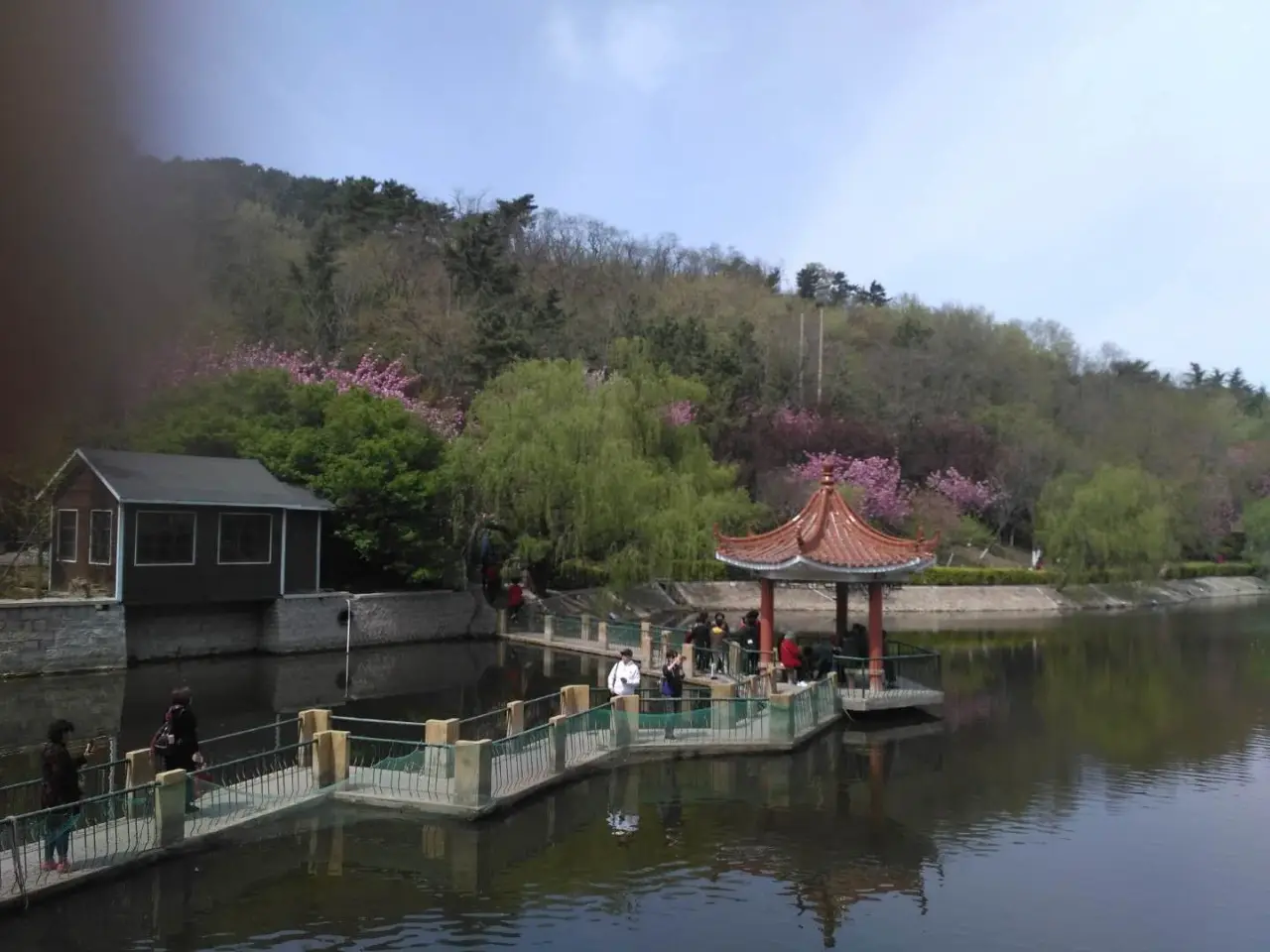 青岛北岭山森林公园