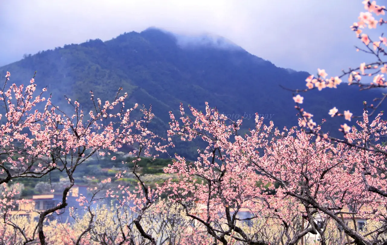 乐昌九峰山
