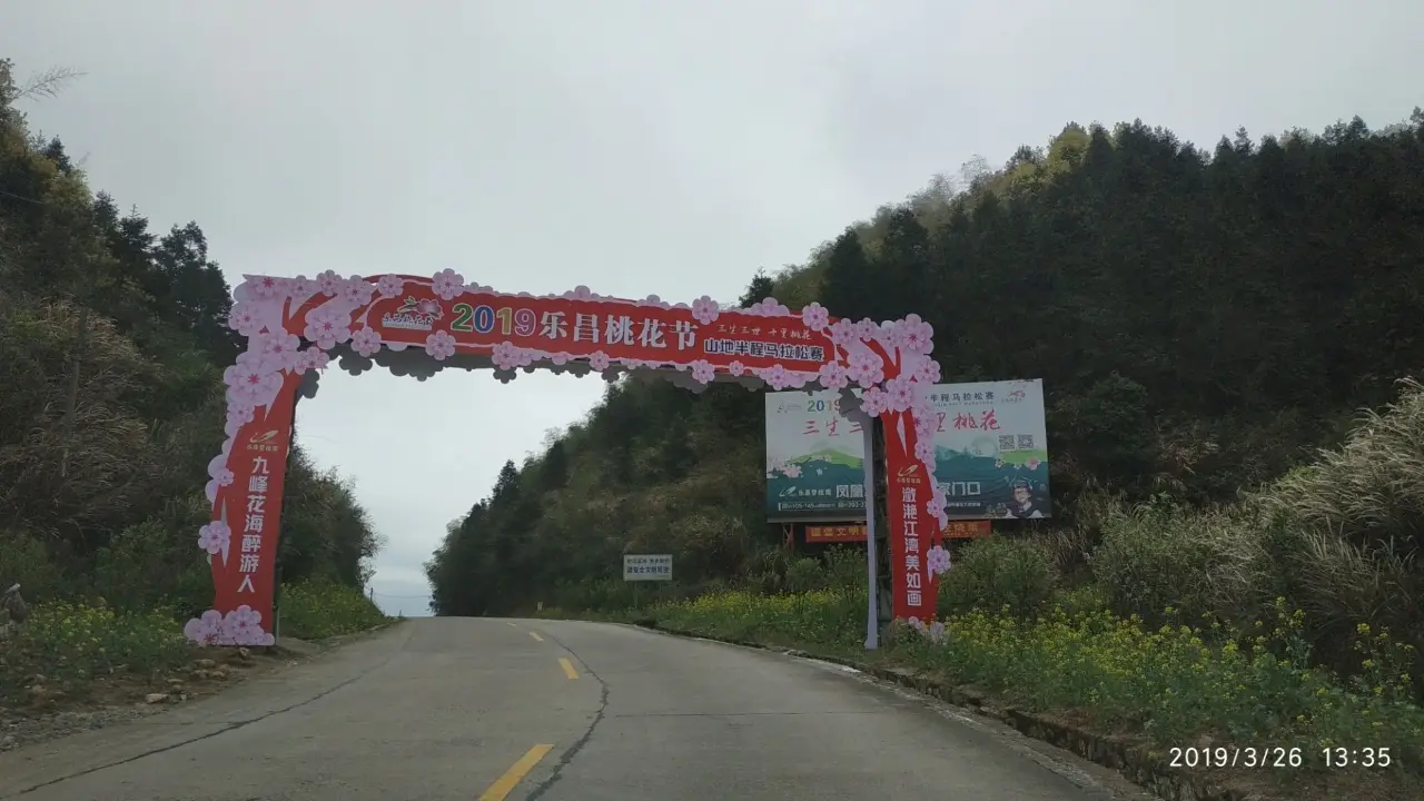 九峰镇花海