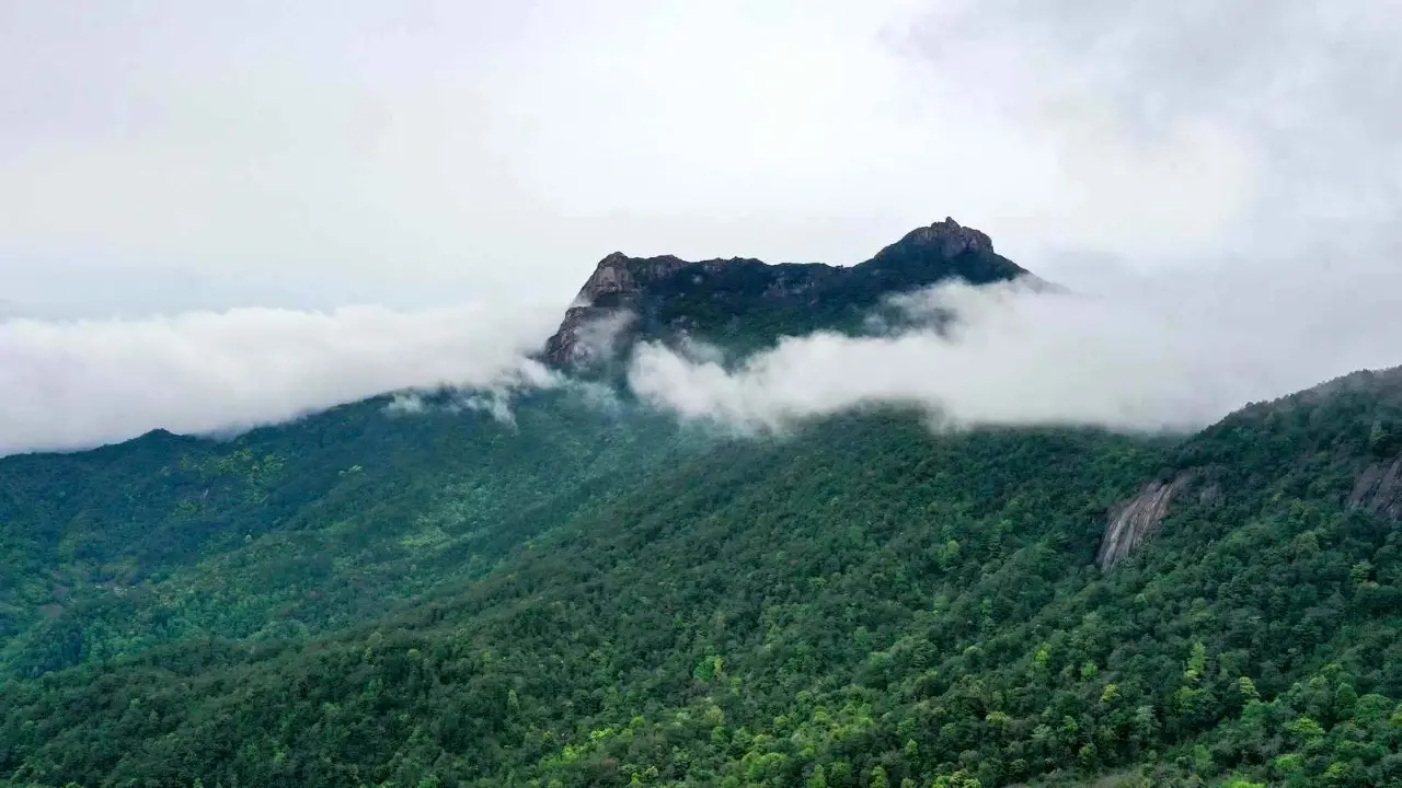 云髻山省级自然保护区