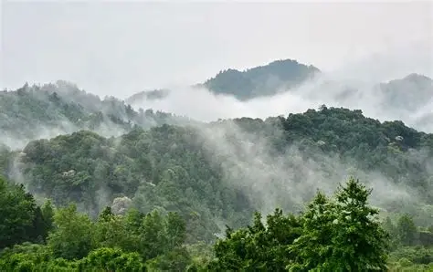 车八岭国家级自然保护区
