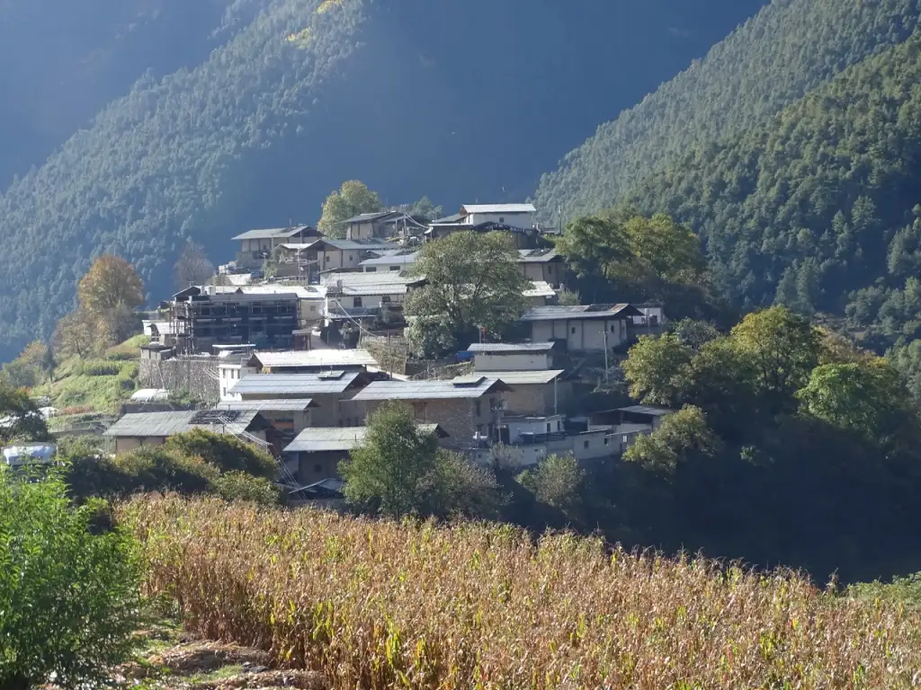 尼汝村