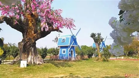 蓝天·芝麻小镇